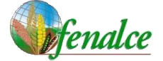Logo URL
